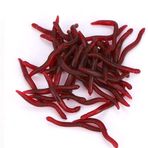 Gonetre Deniz Balıkçılığı Yemi Solucan Balıkçılığı Yemi 4cm, Gerçekçi Yüzme Hareketi, Çevre Dostu, Sazan, Gümüş Sazan, Levrek, Kan Solucanı Yemleri, Yapay Yemler Için Uygundur (Paket