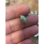 Gönülden Tasarım 1 cm 5 mm Sedef Yeşil Kasalı Dikme Damla Taş Boncuk (50 Adet) - 100-Küf
