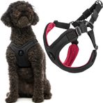 Gooby - Escape Free spor yemek takımı, küçük köpekler için, neopren yemek takımlarından kaçmayı seven köpekler için, siyah, beden L