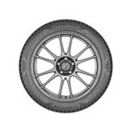 Goodyear 245/45R19 102Y Xl Eagle F1 Asymmetrıc 6 Fp Oto Yaz Lastiği 2026