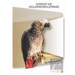 Görüp De Gülemediklerimiz - Cinius Yayınları