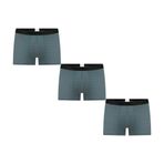 GOTS Sertifikalı Organik Pamuk Erkek Trunk Boxer İç Çamaşırı (3, Köknar Tabasko, XL)