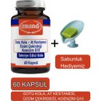 Gotu Kola, At Kestanesi Üzüm Çekirdeği Koenzim Q1-Sabunluk Hediyemiz 2023-1
