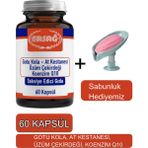 Gotu Kola, At Kestanesi Üzüm Çekirdeği Koenzim Q1-Sabunluk Hediyemiz 2023-4
