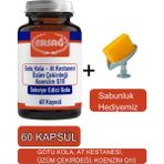 Gotu Kola, At Kestanesi Üzüm Çekirdeği Koenzim Q1-Sabunluk Hediyemiz 2023-8