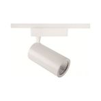 Goya GY 3646 Ray Spot