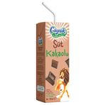 Göynük 200 ml Kakao Aromalı Süt