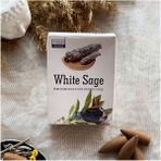 Gözayn Darshan Incense White Sage (Beyaz Adaçayı) Geri Akış (Backflow) Tütsü 10 Adet - 1 Adet
