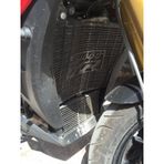 GP Kompozit BMW S 1000 XR 2015-2017 Uyumlu Radyatör Koruma Siyah