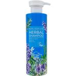 Grace Day 5 Çeşit Peptit ve Bitki Kompleksi İçeren Vegan 500 ml Şampuan