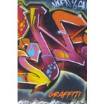 Graffiti: Quaderno formato A5, pagine bianche, con graffiti in copertina. Adatto per ogni età, per scuola, ufficio e tempo libero.
