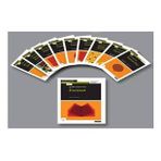 Grafik Tasarım Temelleri Seti (10 Kitap Takım) (Çok Renkli)