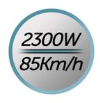 Grains Global Saç Kurutma Makinesi Iyonları Therapy (2300 Watt, Hafif ve Düşük Ses Seviyesi, 3 Isıtma ve 2 Üfleme Kademesi, Soğutma Kademesi, Şekillendirme Başlığı ve Difüzör), - Ahşap