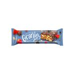 Granio 40 gr Sütlü Çikolata Kaplamalı Kırmızı Meyveli Tahıllı Bar