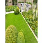 Grass Seed 7 Günde Çimlenen Karışım Çim Tohumu 1,5 Kg 6 Lı Bölünüp Başka Ambalajda Gönderilecektir