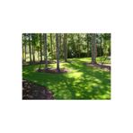 Grass Seed 7 GÜNDE ÜZERİNE BASILABİLİR İTHAL ÇİM TOHUMU 1 KG 6'LI KARIŞIM