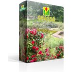 Grasso Kök Gelişim Gübresi Leo 1 kg