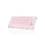 Gravastar Mercury K1 RGB Kablosuz Mekanik Gaming Klavye, İngilizce Q, Sakura Pink