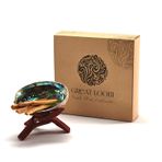 Great Loom - Doğal Palo Santo Hediye Seti - Meditasyon Tütsü Seti - Palo Santo Ağaç Tütsü 18 gr/Ahşap Tripod 1 Ad/Abalone Kabuğu 1 Ad