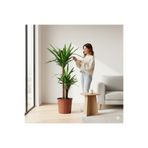 Green 2 Gövdeli Yuka Çiçeği İthal | Yucca Salon ve Ofis İç Mekan Bitkisi 90-100 cm