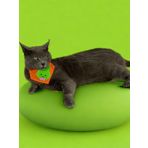 Green Bunny Kedi Bandana, Fular, Kedi Kıyafeti Kedi Elbisesi, Kedi Tasması