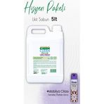 Green Clean Bitkisel Bulaşık Deterjanı Portakal 5 lt ve Mobilya Cilası Lavanta 300 ml