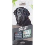 Green Fields Siyah Labrador 2x250 ml Köpek Şampuanı ve Tüy Bakım Seti