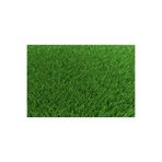 GREEN KING Dört Mevsim Yaz Kış Yeşil Çim Tohumu 4 Lü Karışım 1 Kg