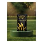 GREEN KING GOLD PREMİUM 4 M ÇİM TOHUMU 10 KG