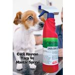 Green Zen F 2 ADET - Köpek Evcil Hayvanlar Için Yara Ve Mantar Spreyi 500 ml