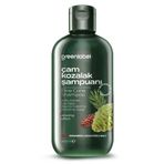 Greenlabel 400 ml Çam Kozalak ve Çay Ağacı Şampuanı