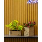 Greenmall Clota Saksı 2'li Set - - - --