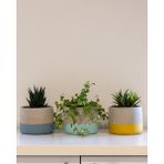 Greenmall Lenus Beton Saksı 3'lü Set - - - --