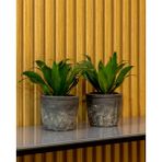 Greenmall Olven Saksı Antrasit 2'li Set - 11,5 cm x 11,5 cm x 10 cm - Siyah