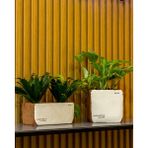 Greenmall Sirona Saksı 3'lü Set - - - --