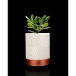 Greennest Mini Duvar Saksısı Sukulent Dekoratif Duvar Saksısı - Ahşap