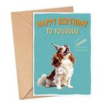 GreenStar Gifts Cavalier King Charles Spaniel Köpek Kartı, Köpek Sahibi İçin Doğum Günü Kartı, Komik Spaniel Köpek Doğum Günü Kartı, Spaniel Köpek Severler İçin Hediye, Köpek Anneler İçin Hediye, Köpek Babalar İçin
