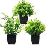 GREENTIME Yapay Saksı Bitkileri 3'lü Mini Sahte Bitki Seti, 3'lü Küçük Okaliptüs Saksı Bitkileri, Ev Ofis Masası, Banyo Rafı, Yatak Odası İç Mekan Dekorasyonları için Siyah Saksıda Buğday Çimi Sahte