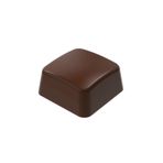 Greyas Polikarbon Kare Pralin Çikolata Kalıbı 12.8 gr | Cm-3261