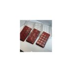 Greyas Polikarbon Tablet Çikolata Kalıbı 100 gr | Cm-3808