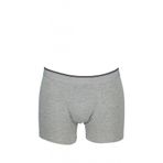 Gri Boxer
