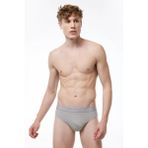 Gri Erkek 2 Li Modal Slip Külot 080