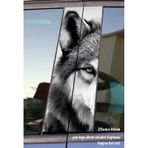 Gri Kurt Oto Folyo Baskı Kaplama Araba Kapı Sticker Set