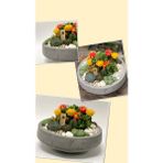 Gri Oval Beton Ve Bonsai Saksısı Çiçek Desen Ağız Çap 20-30 Cm Çap