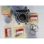 Grifin Soft Pcx 125 Orjinal Silindir Seti 2012 2017