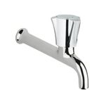 Grohe 30064001 Costa L Uzun 150 mm Duvardan Tek Musluk