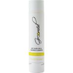 Groomed Şampuan 300 Ml