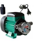 Gross 220 Volt 1" 1 Hp Sıvı Aktarma Yağ Mazot Su Süt Aktarma Pompası