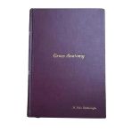 Gross Anatomy (İkinci El)