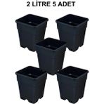 Grow Wizard Plastik Kare Saksı 2 Litre 5 Adet